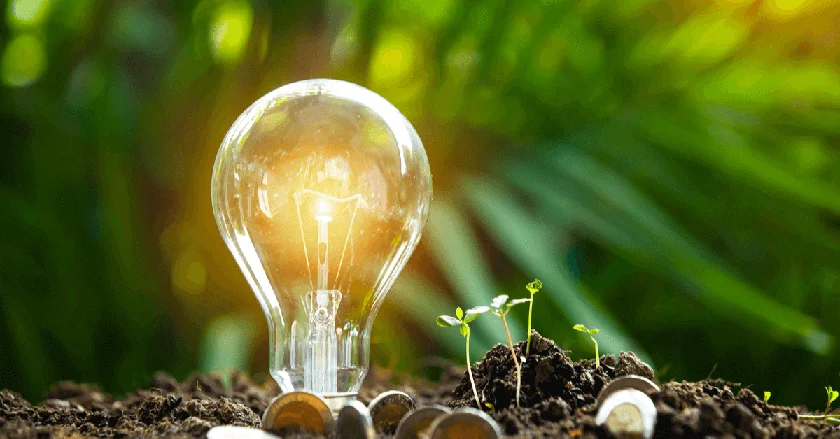 6 Ways To Save Money & Our Planet
