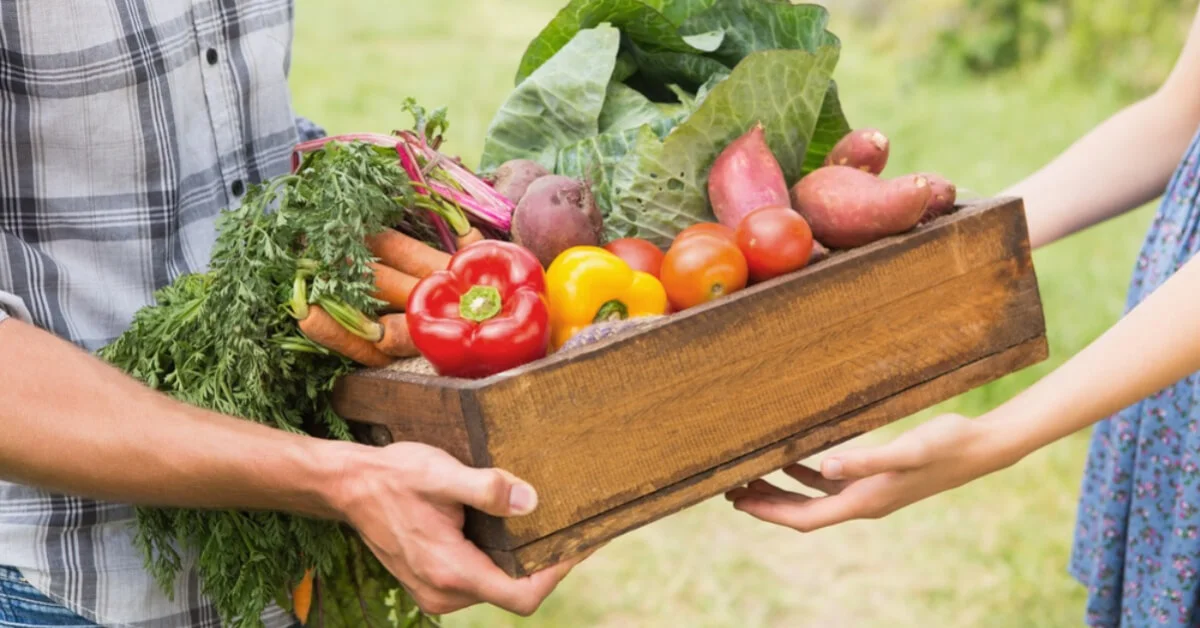 a man holding a box full of home grown fruit and veg