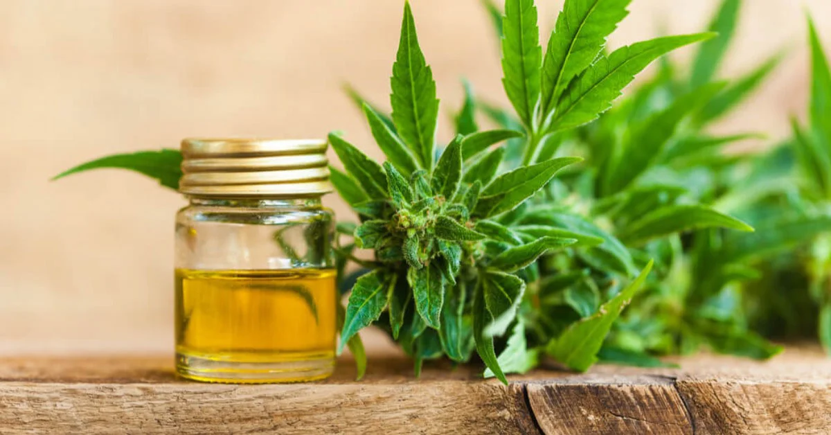 a jar of cbd oil next to a plant
