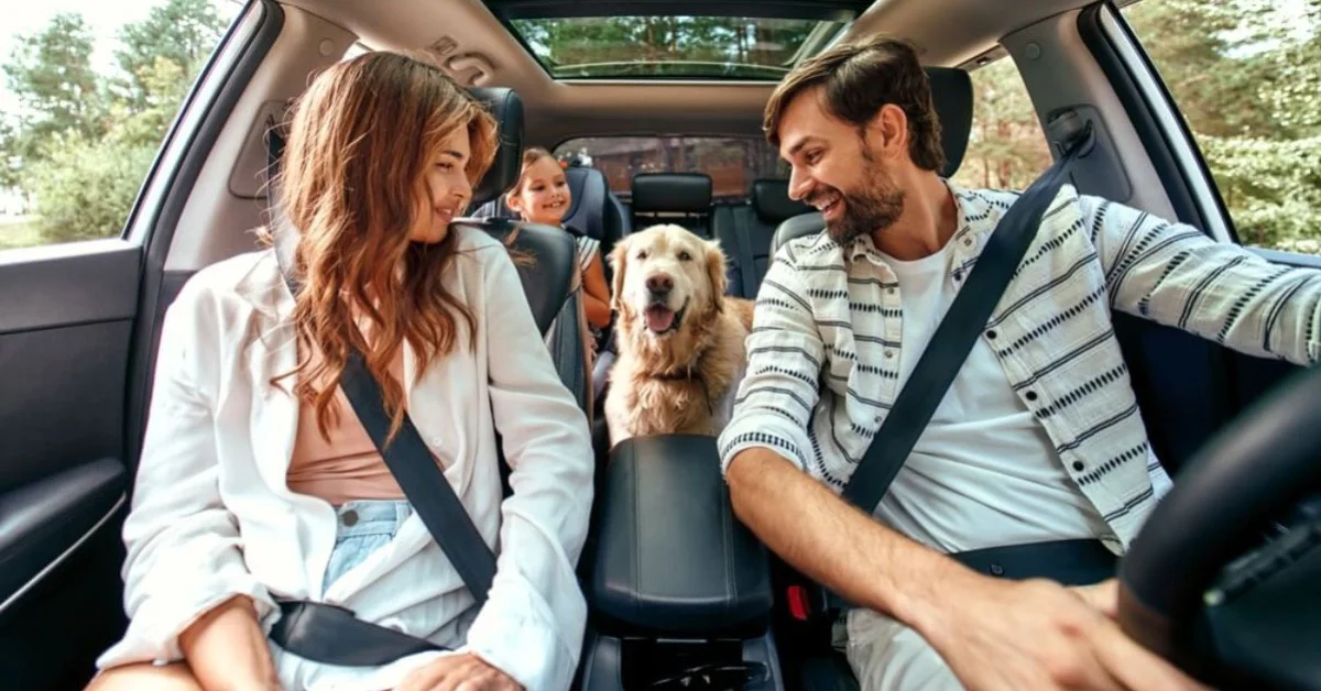 a happy family in a car with a labrador dog in the middle
