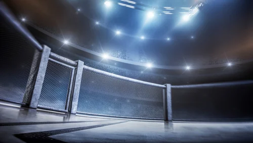 Martial arts & Wrestling