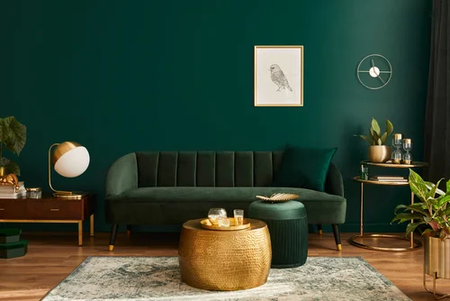 Decoration & Interior