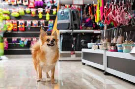 Pet Stores