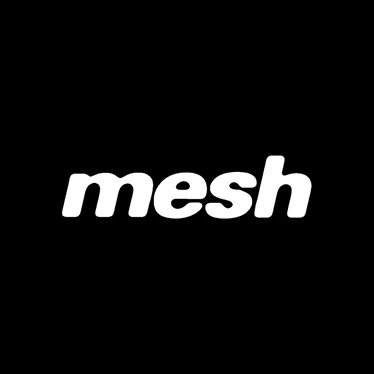 Mesh Logo