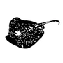 A cuckoo moment Logo