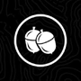 Ballsy Logo