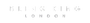 Bling King Logo