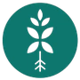 Bloombox Club Logo