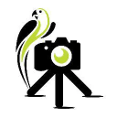 Camera Jungle Logo