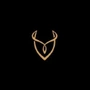 Desire Experience (US) Logo