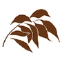 Evergreen Direct Logo