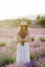 Morning Lavender Logo