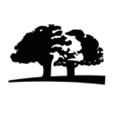 Origins Logo